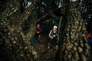 BIB: 
                            <button type="button" onclick="openModal(25693695)" class="btn btn-primary btn-sm float-right btn-popup" data-toggle="modal" data-target=".modal-high-quality">
                        <i class="fas fa-shopping-cart"></i> Add to Cart
                    </button>
                                            <button type="button" onclick="isThisMe(25693695, true)" class="btn btn-success btn-sm float-right btn-popup btn-isme hidden" data-toggle="tooltip" data-placement="bottom" title="นี่คือรูปของคุณใช่ไหม คลิกที่นี่เพื่อเอาเข้าอัลบั้ม">
                        <i class="fas fa-plus"></i> Add to album
                    </button>
                    <button type="button" onclick="isThisMe(25693695, false)" class="btn btn-warning btn-sm float-right btn-popup btn-isnotme hidden">
                        <i class="fas fa-ban"></i> Remove from album
                    </button>